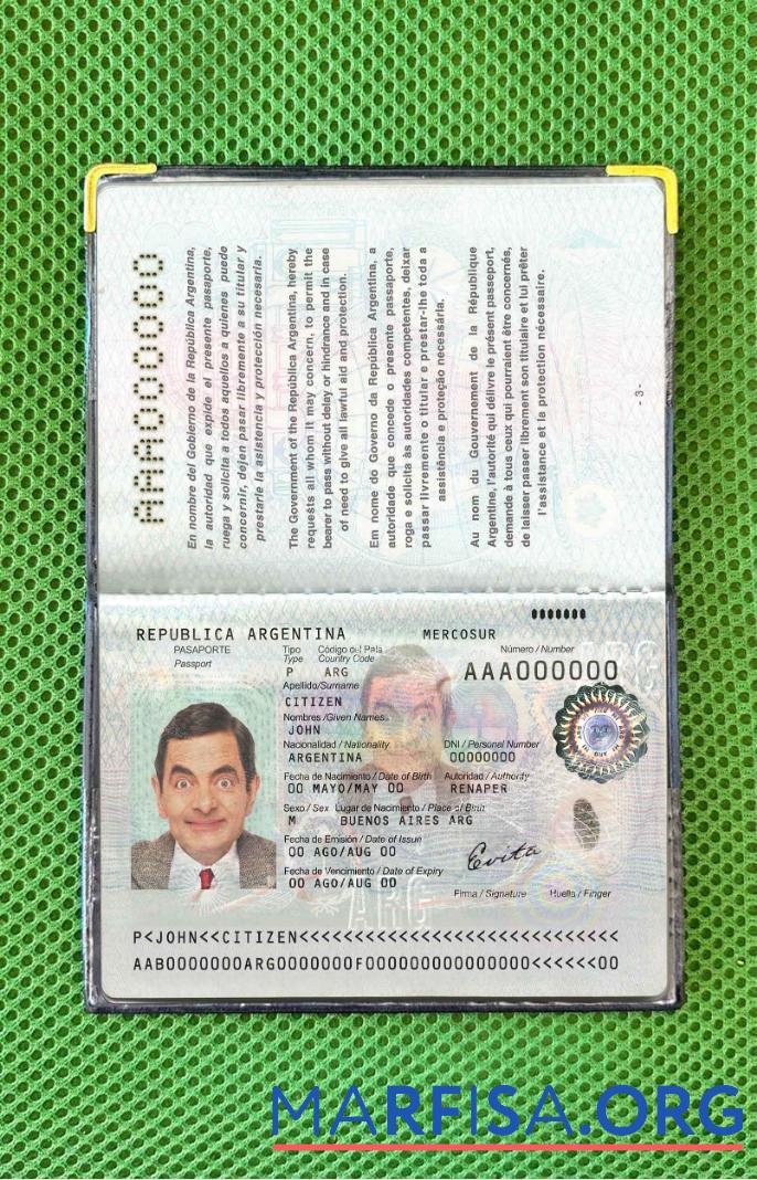 Blank Argentina passport photo look sample
